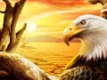 Spel Eagle