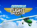 Spel Cessna Flight Simulator