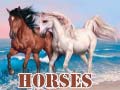 Spel Horses
