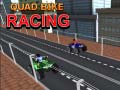 Spel Quad Bike Racing