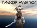 Spel Maze Warrior