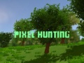 Spel Pixel Hunting