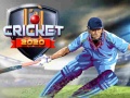 Spel Cricket 2020