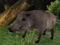 Spel Wild boar Hunting