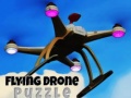 Spel Flying Drone Puzzle