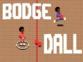 Spel Bodge Dall