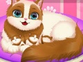 Spel Cute Kitty Pregnant