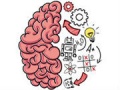 Spel Brain Test
