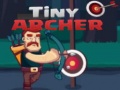 Spel Tiny Archer