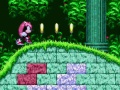 Spel Mighty & Ray In Sonic 2