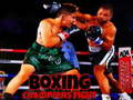 Spel Boxing Champions Fight