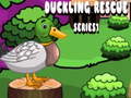 Spel Duckling Rescue Series1