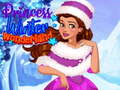Spel Princess Winter Wonderland