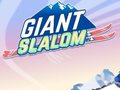 Spel Giant Slalom