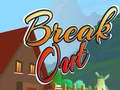 Spel Break Out