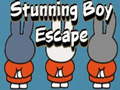 Spel Stunning Boy Escape