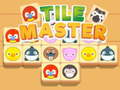 Spel Tile Master Match