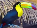 Spel Toucan Bird Jigsaw