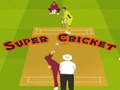 Spel Super Cricket 