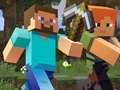 Spel Minecraft Hidden Items