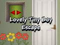 Spel Lovely Tiny Boy Escape