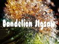 Spel Dandelion Jigsaw