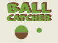Spel Ball Catcher