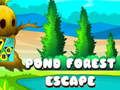 Spel Pond Forest Escape