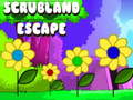 Spel Scrubland Escape