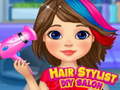 Spel Hair Stylist DIY Salon
