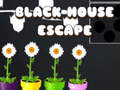 Spel Black House Escape