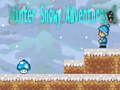 Spel Winter Snowy Adventures 1