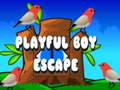 Spel Playful Boy Escape