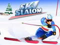 Spel Ski Slalom