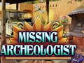 Spel Missing Archeologist
