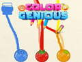 Spel Color Genious
