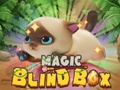 Spel Magic Blind Box