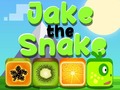 Spel Jake The Snake