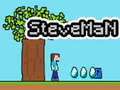 Spel Steveman