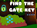 Spel Find the Gate Key