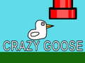 Spel Crazy Goose