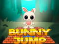 Spel Bunny Jump