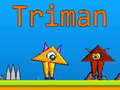 Spel Triman