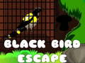 Spel Black Bird Escape