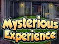 Spel Mysterious Experience