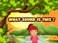 Spel What Sound Is This?