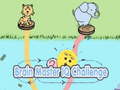 Spel Brain Master IQ Challenge