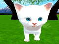 Spel Cutie cat