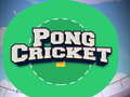 Spel Pong Cricket