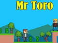 Spel Mr Toro